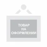 Печатающая головка для принтера Mercury MPrint LP58 EVA