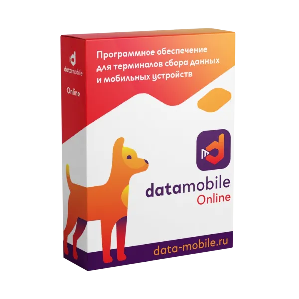 ПО DataMobile, версия Online - подписка на 12 месяцев (DMOnline12m)